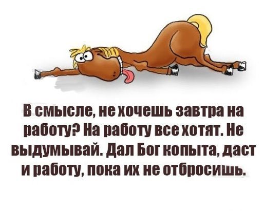 Хорошие анекдоты