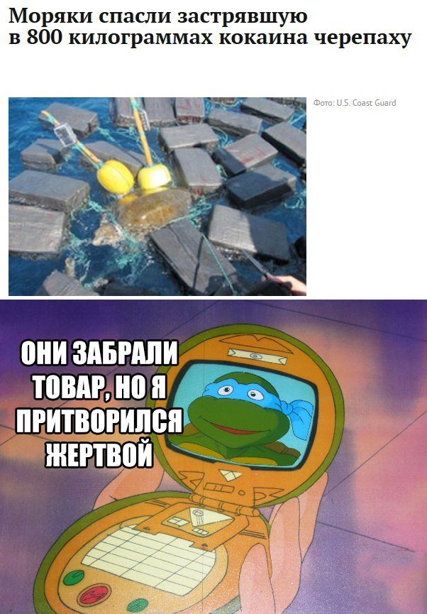 Анекдоты