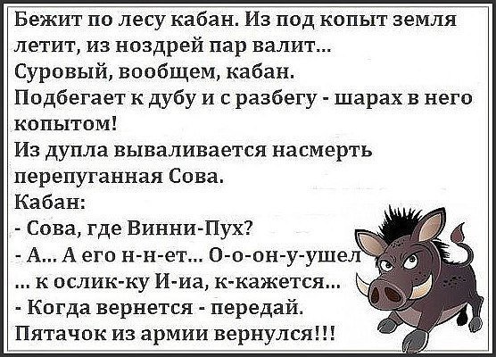 Анекдоты дня
