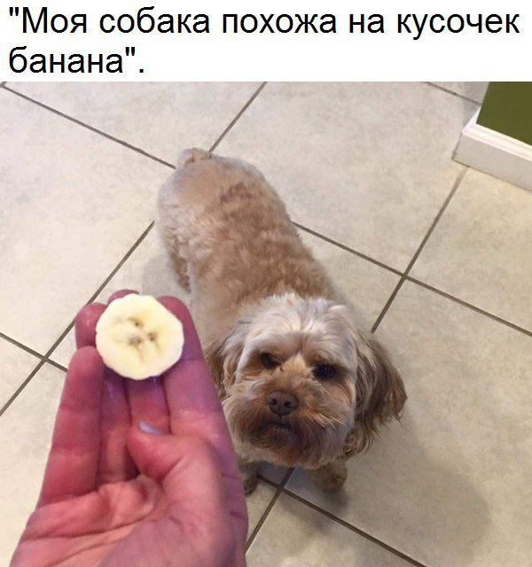 Хорошие анекдоты
