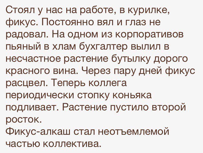 Хорошие анекдоты