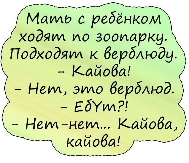 Анекдоты дня