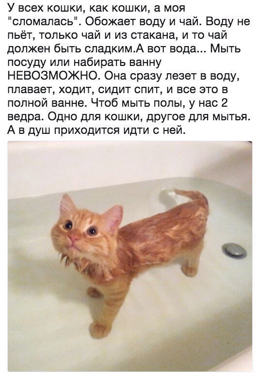 Отличные анекдоты