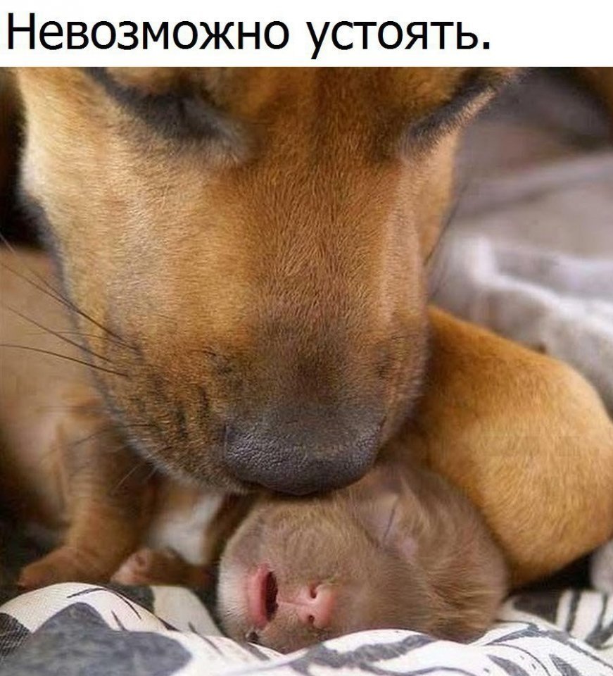 Отличные анекдоты