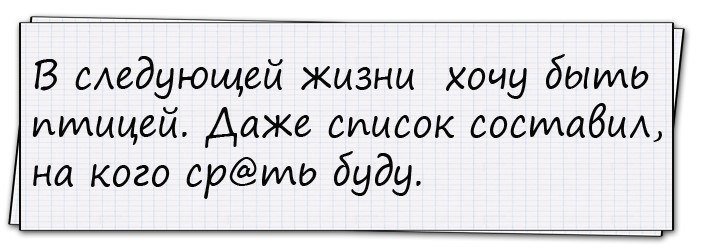 Анекдоты