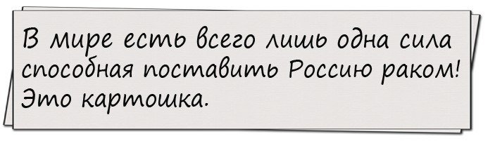 Анекдоты дня