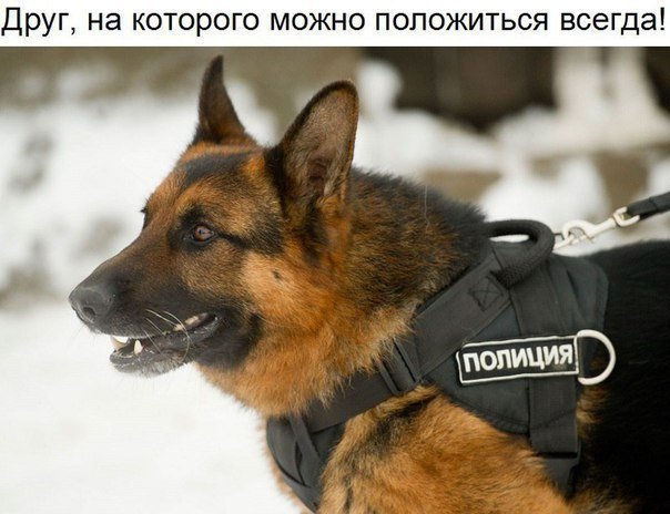 Убойный юмор