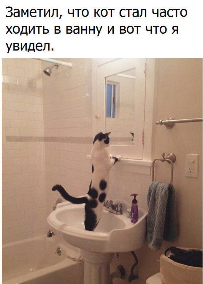 Отличные анекдоты