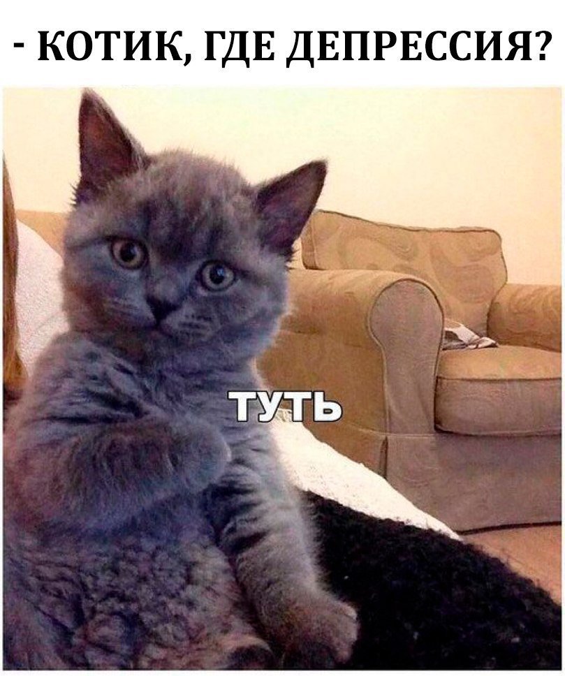Отличные анекдоты
