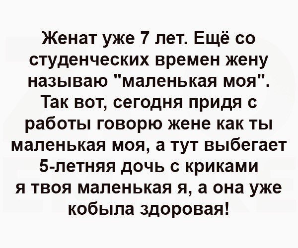 Анекдоты дня