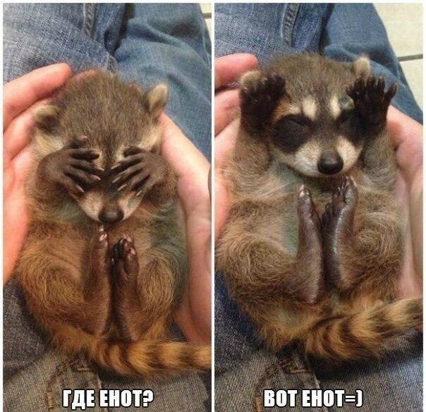 Смешные анекдоты