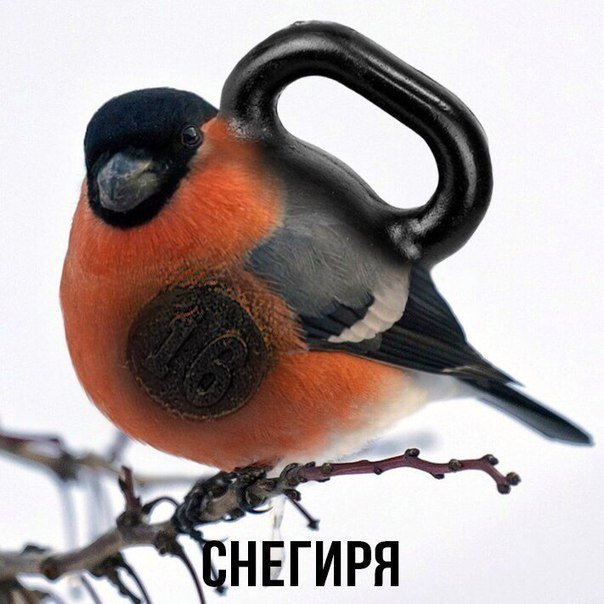 Анекдоты