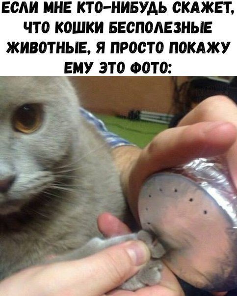 Отличные анекдоты