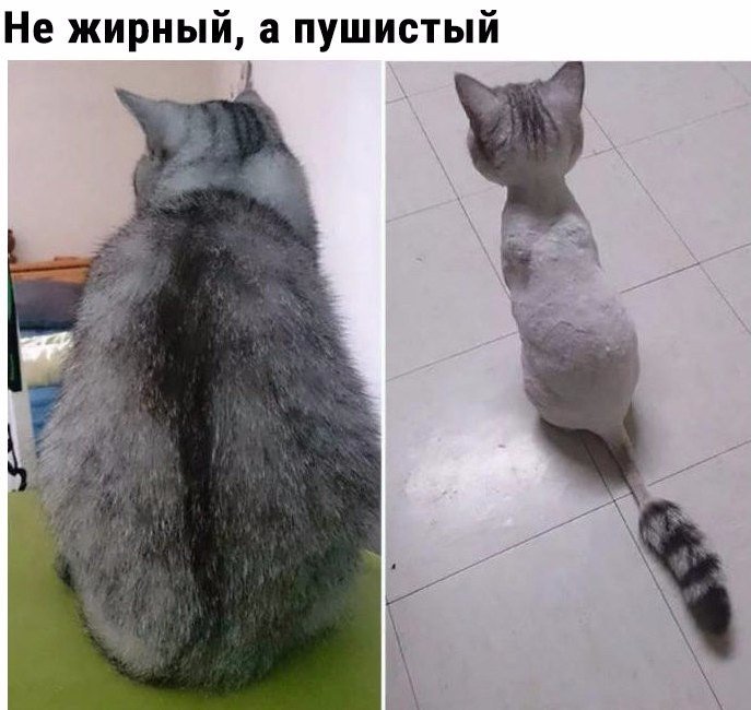 Хорошие анекдоты