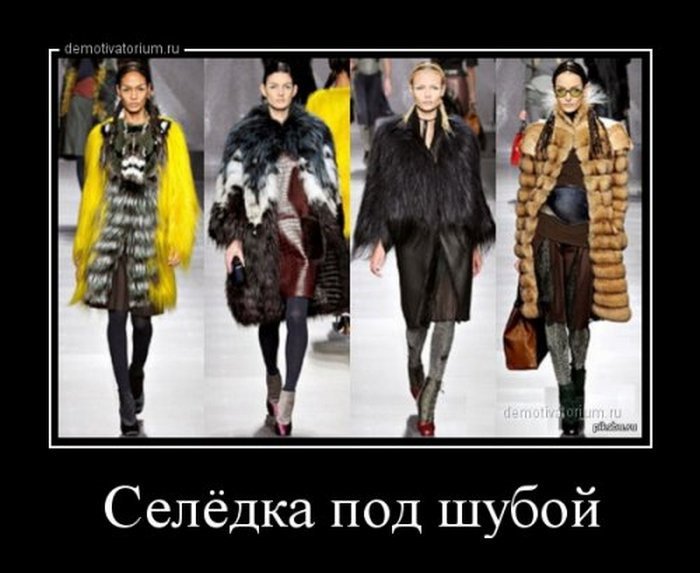 Анекдоты