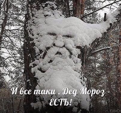 Смешные анекдоты
