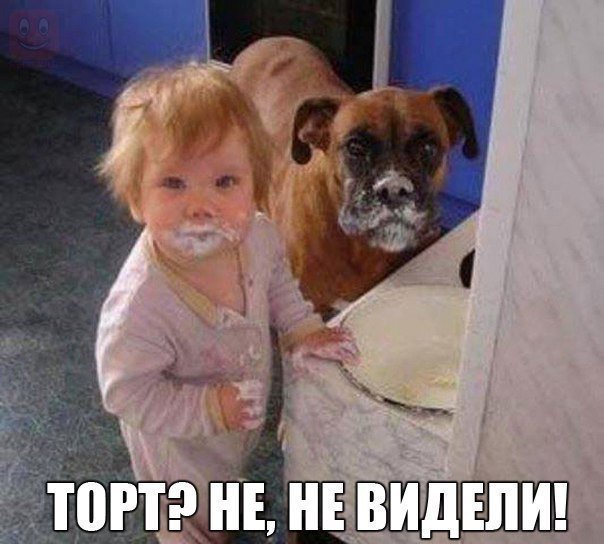 Анекдоты