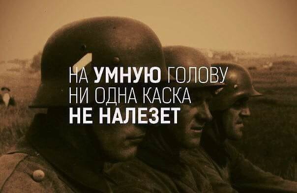 Анекдоты дня