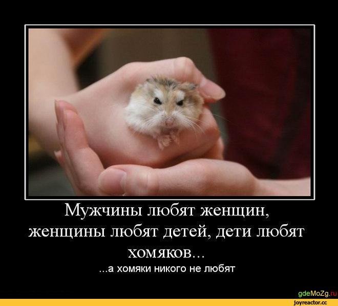 Анекдоты