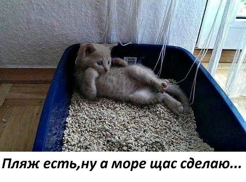 Отличные анекдоты