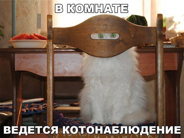 Убойный юмор
