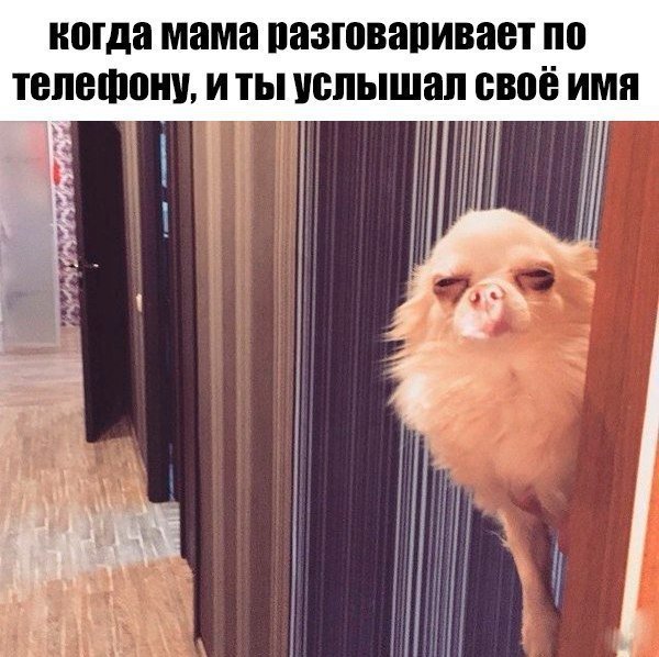 Отличные анекдоты