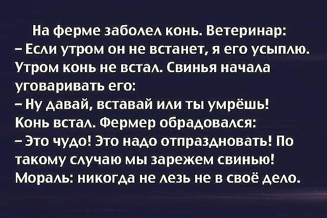 Анекдоты дня