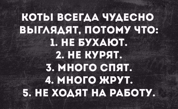 Анекдоты дня