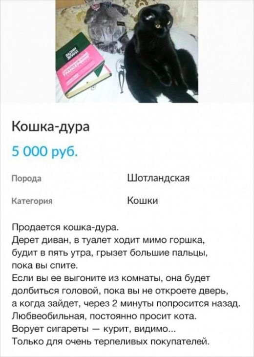 Анекдоты