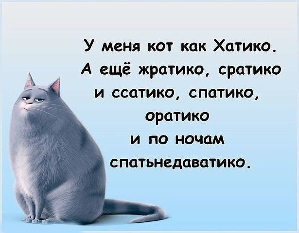 Анекдоты