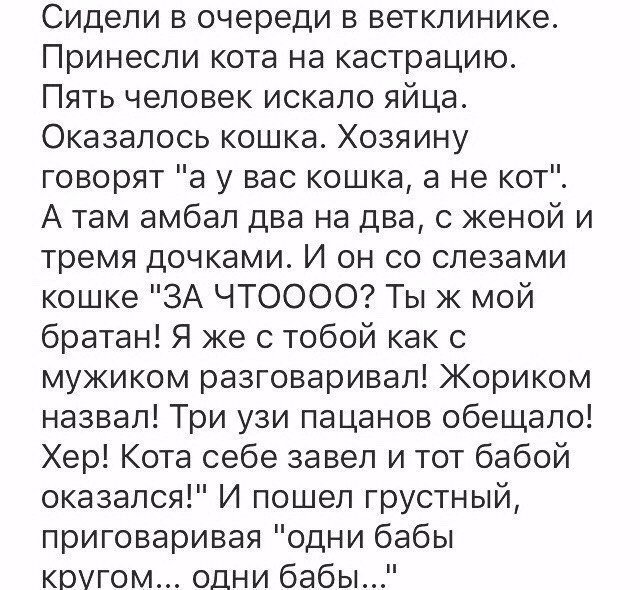 Анекдоты
