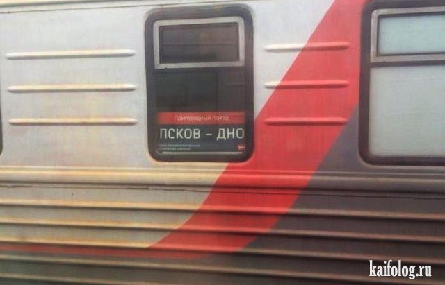Анекдоты дня