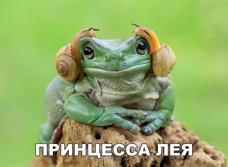 Хорошие анекдоты