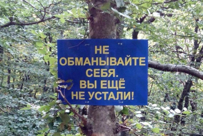 Отличные анекдоты