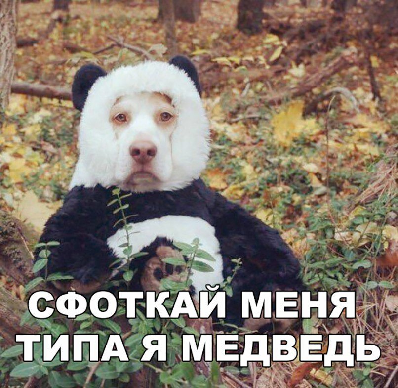 Анекдоты