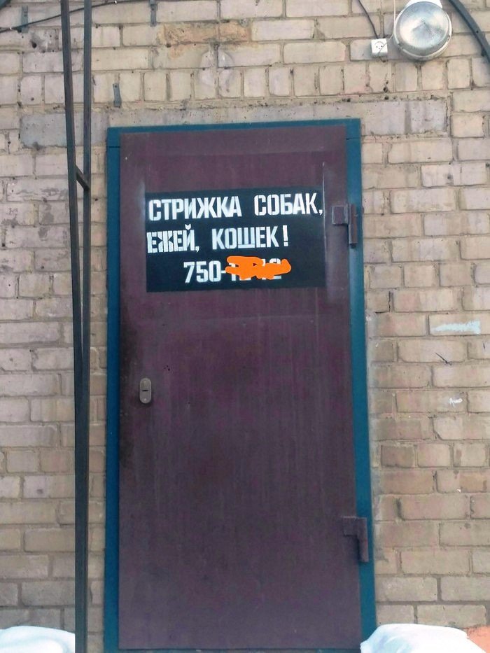Смешная подборка