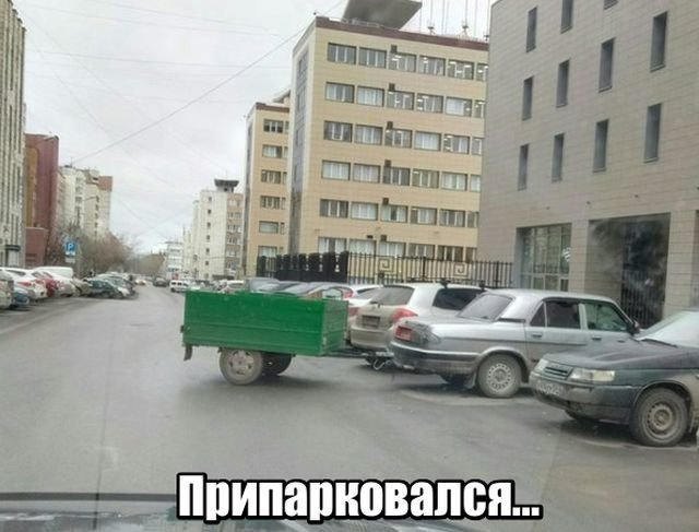 Анекдоты дня