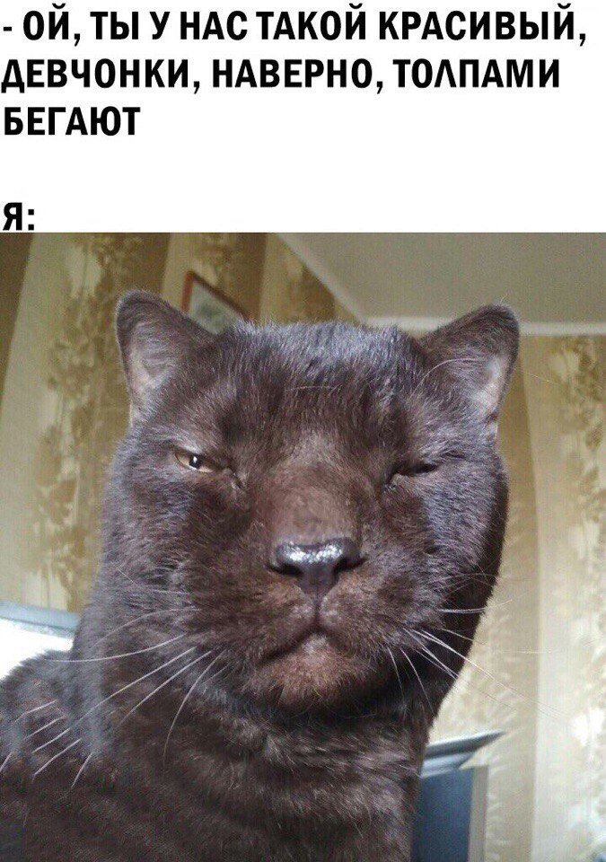 Отличные анекдоты