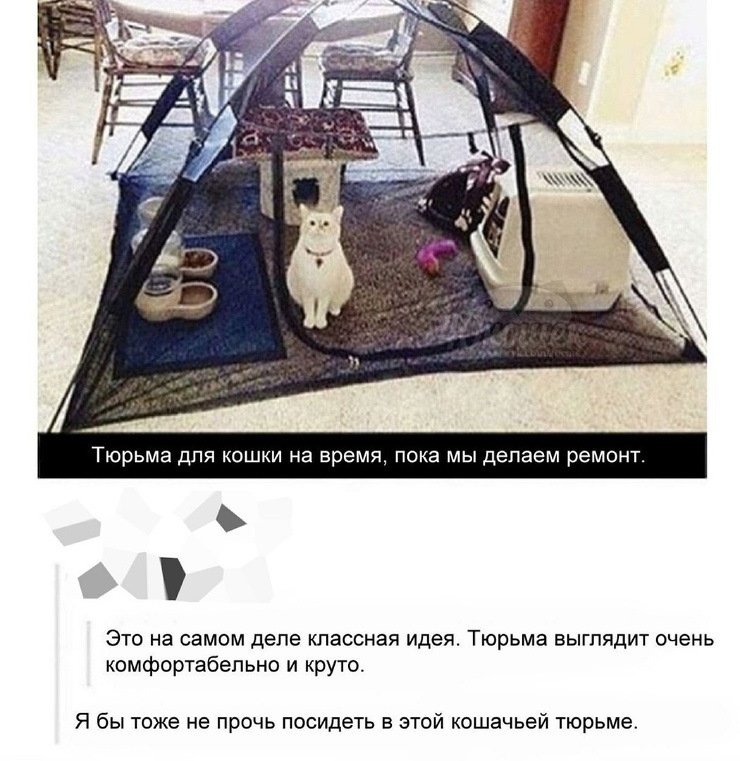 Смешные анекдоты