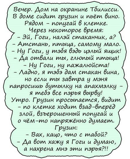 Анекдоты дня