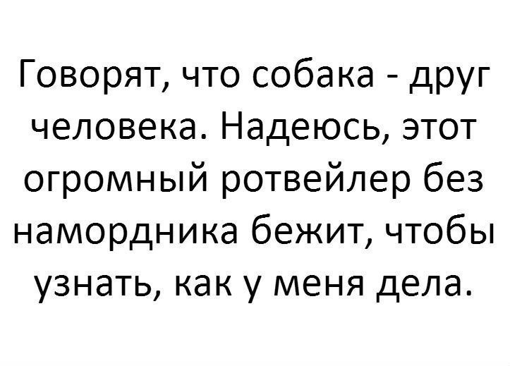 Анекдоты