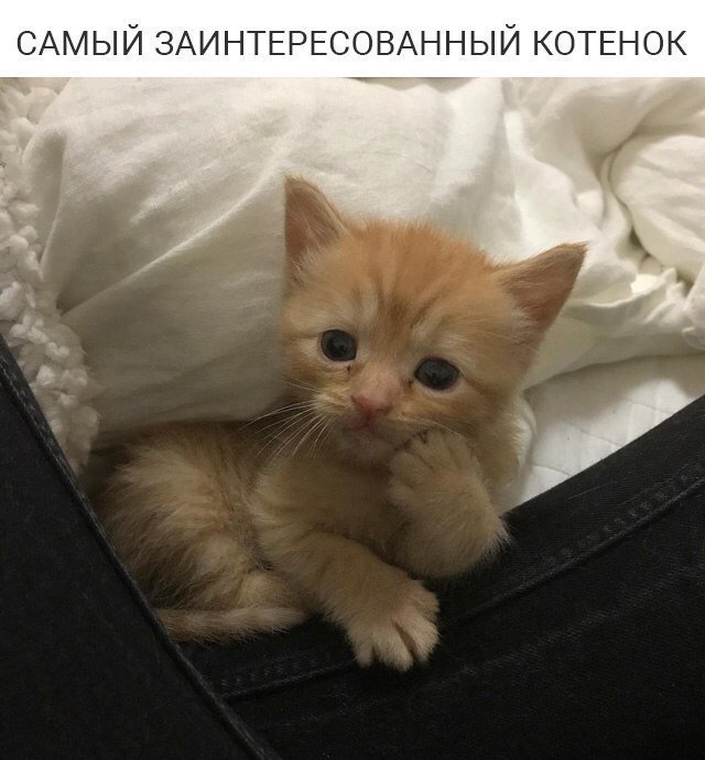 Хороший юмор