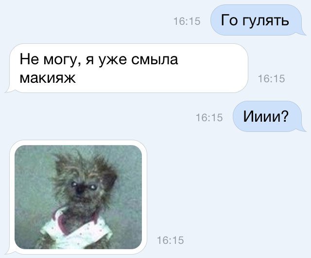 Анекдоты дня