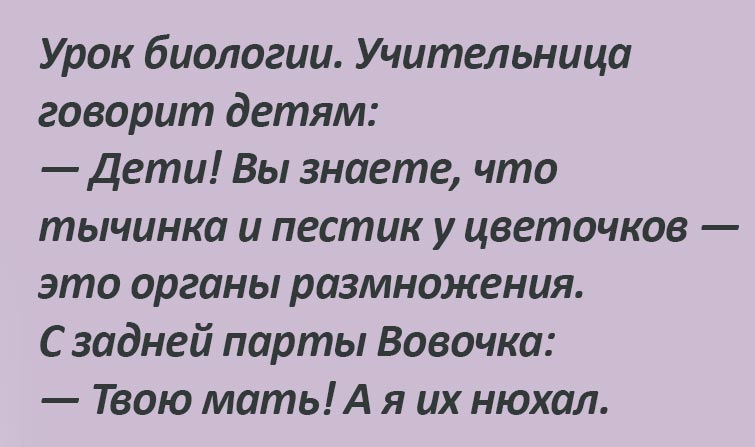 Отличные анекдоты