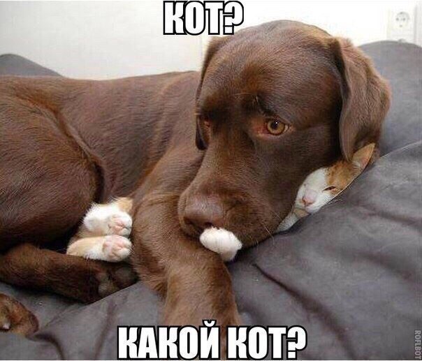 Анекдоты
