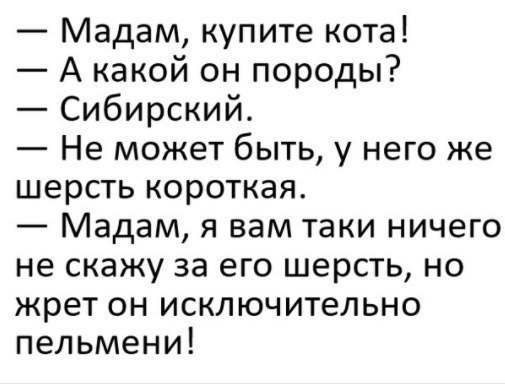 Анекдоты
