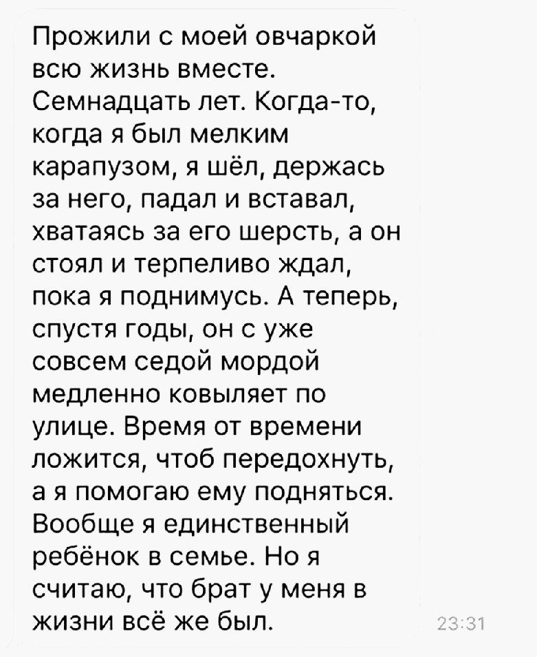 Лучшие анекдоты