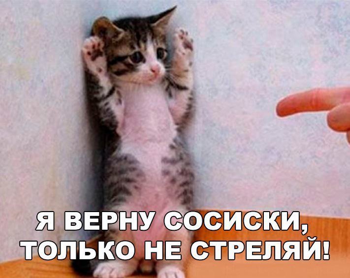 Лучшие анекдоты