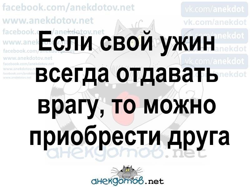 Анекдоты дня
