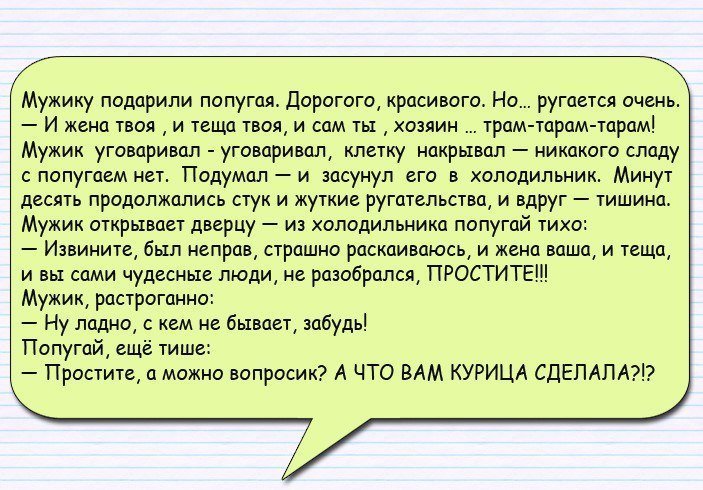Анекдоты дня